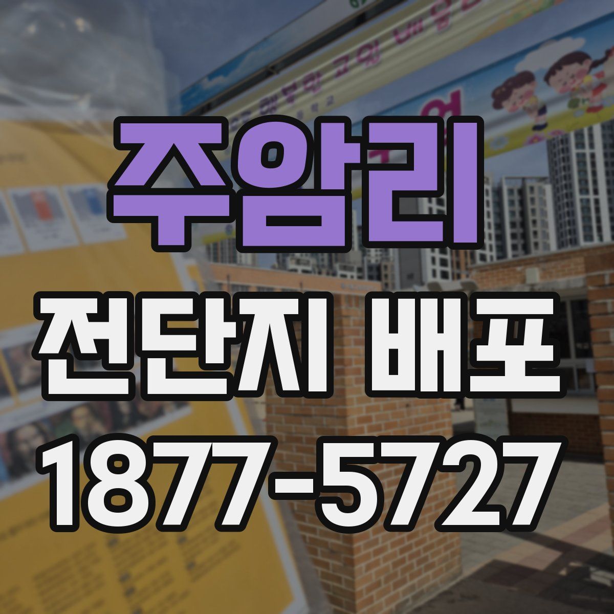 주암리 전단지 배포