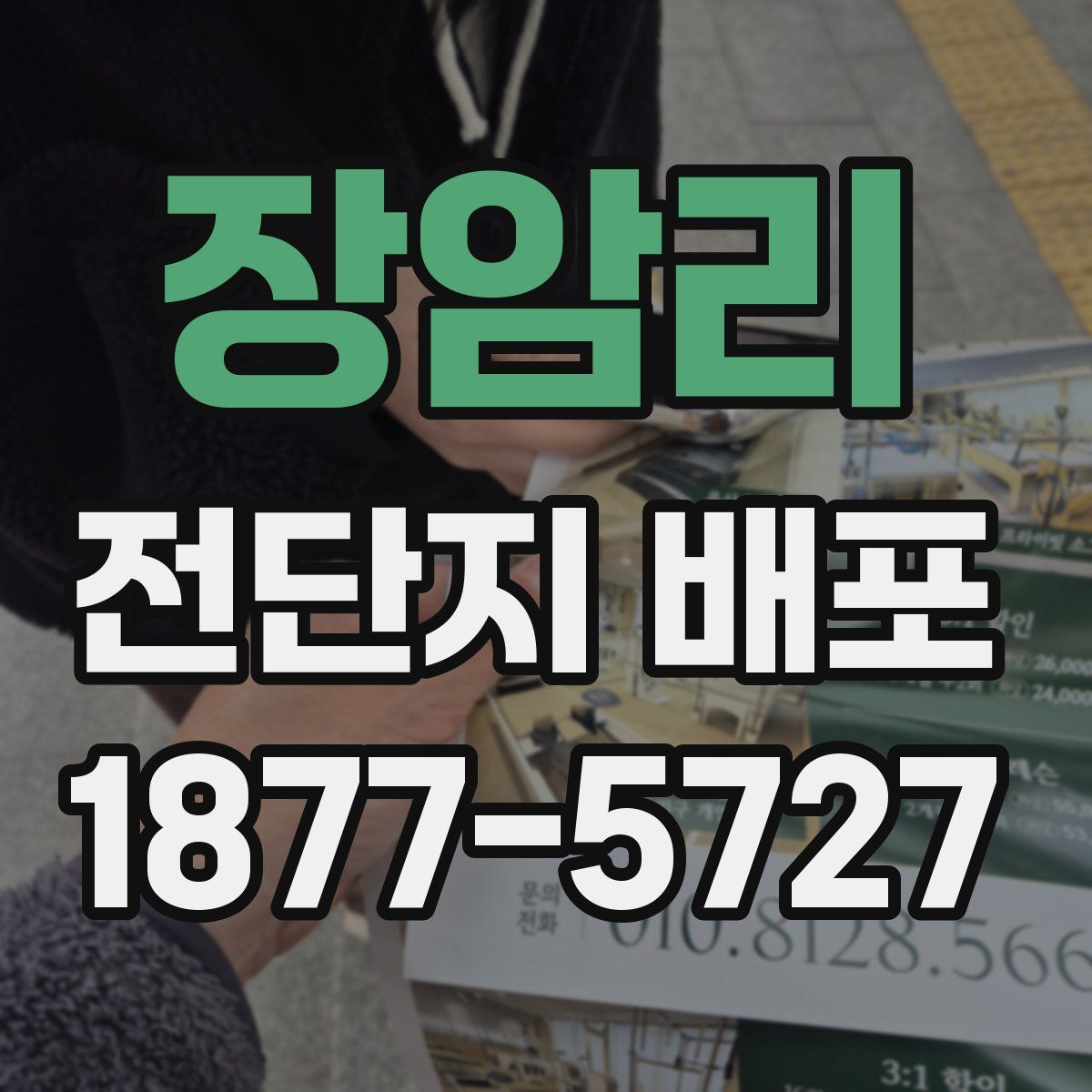 장암리 전단지 배포