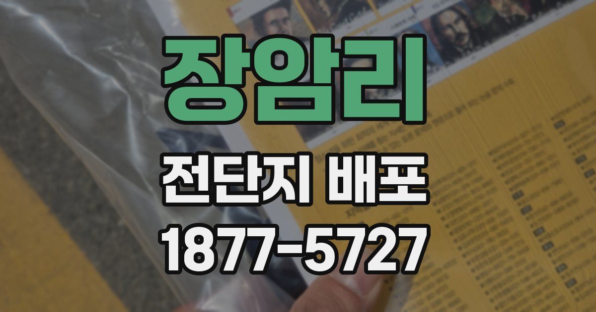 장암리 전단지 배포