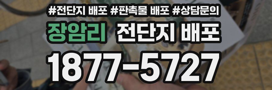 장암리 전단지 배포