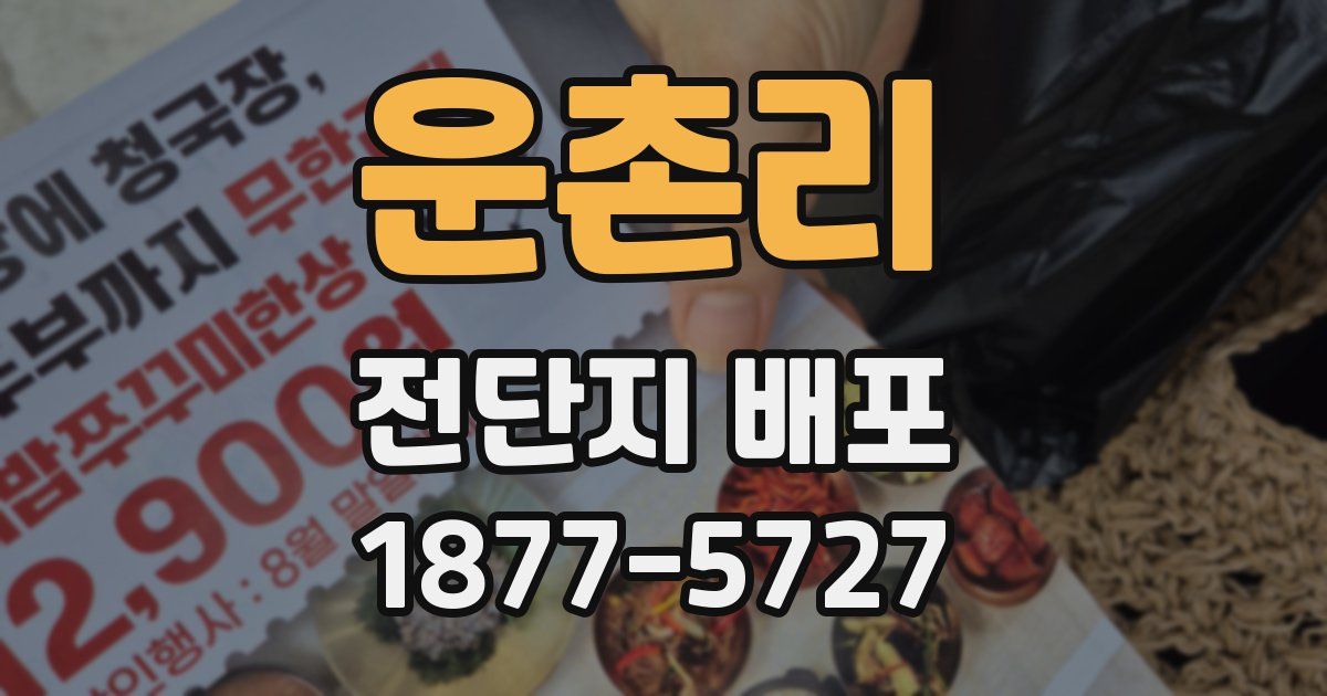 운촌리 전단지 배포