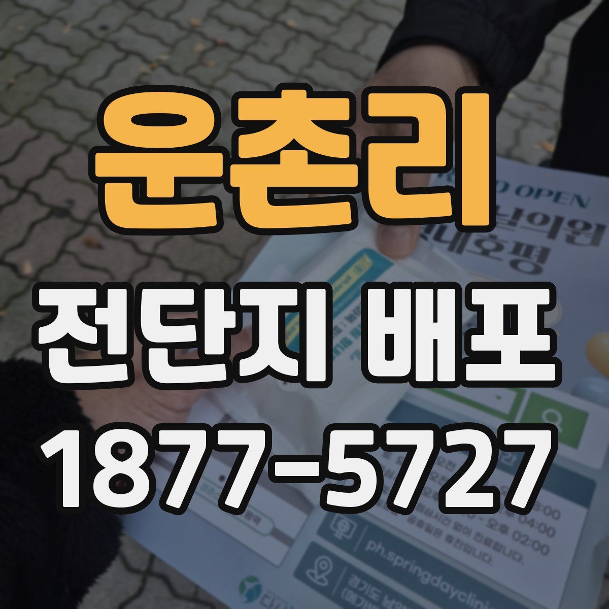 운촌리 전단지 배포