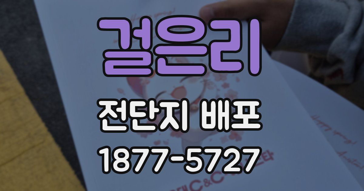 걸은리 전단지 배포