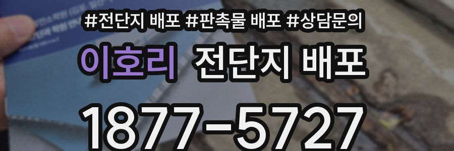 이호리 전단지 배포