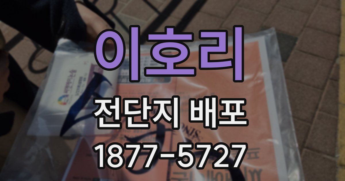이호리 전단지 배포