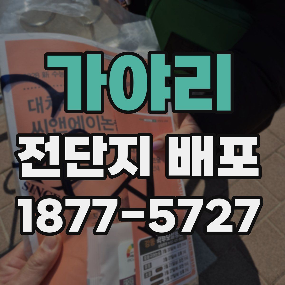 가야리 전단지 배포