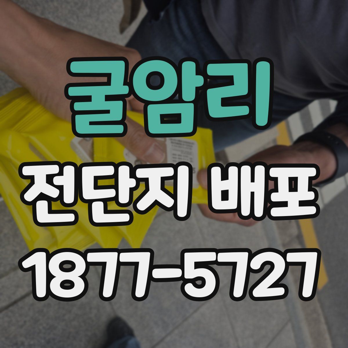 굴암리 전단지 배포