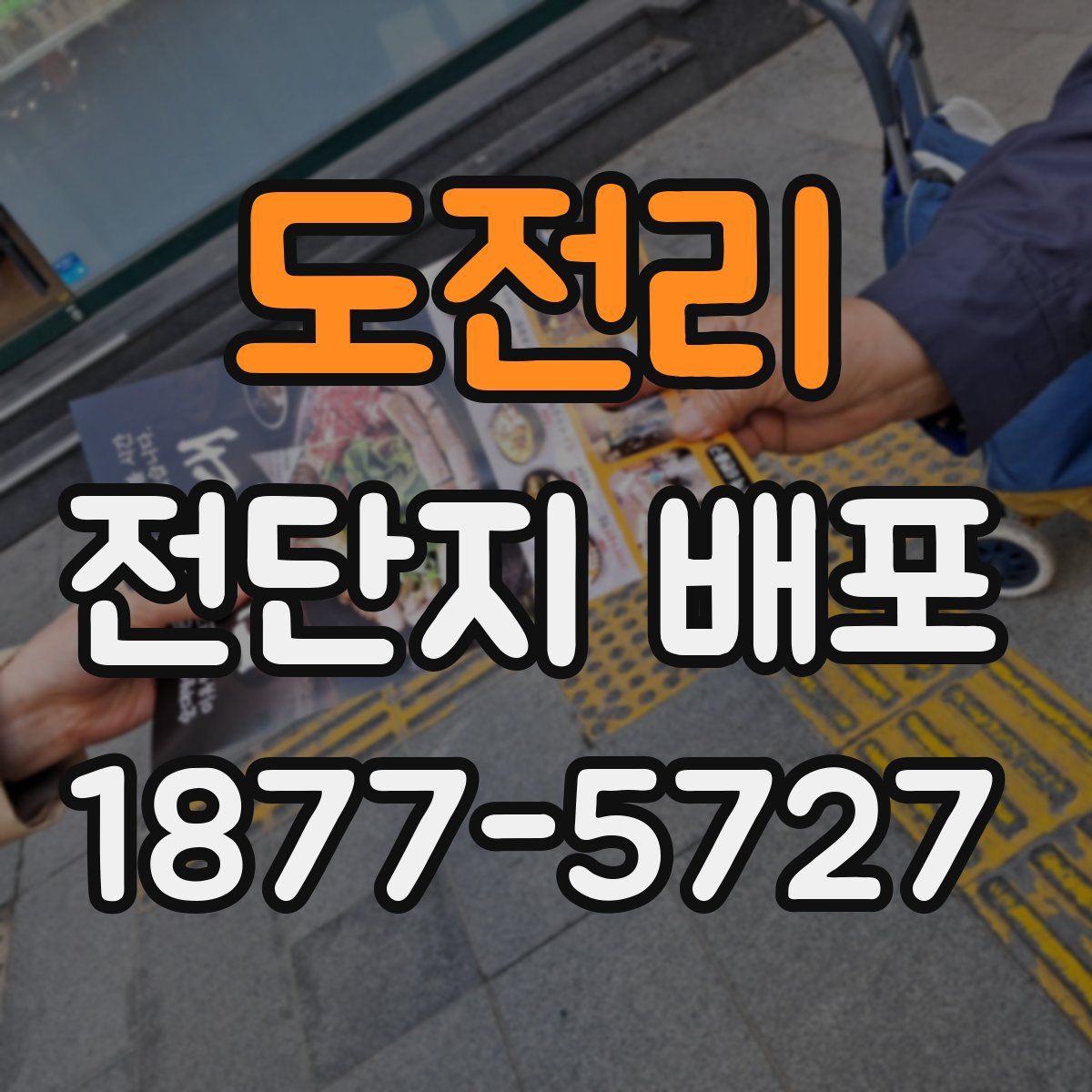 도전리 전단지 배포