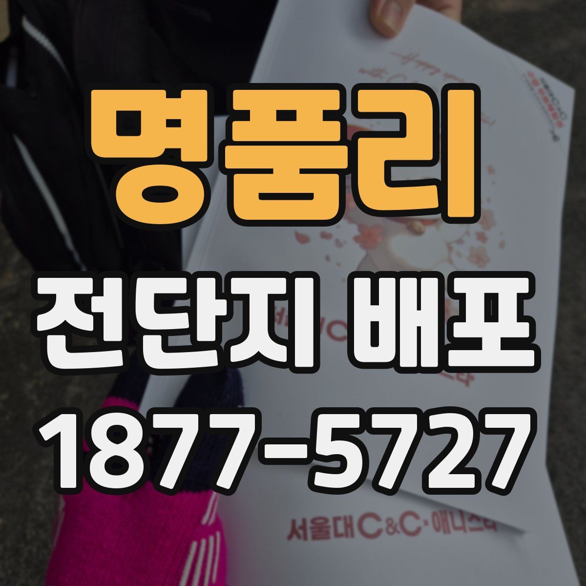 명품리 전단지 배포