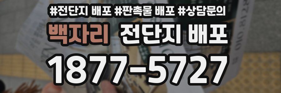 백자리 전단지 배포