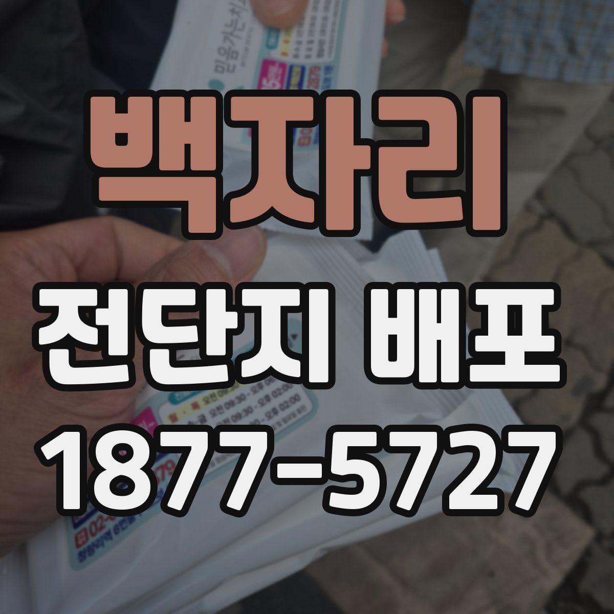 백자리 전단지 배포