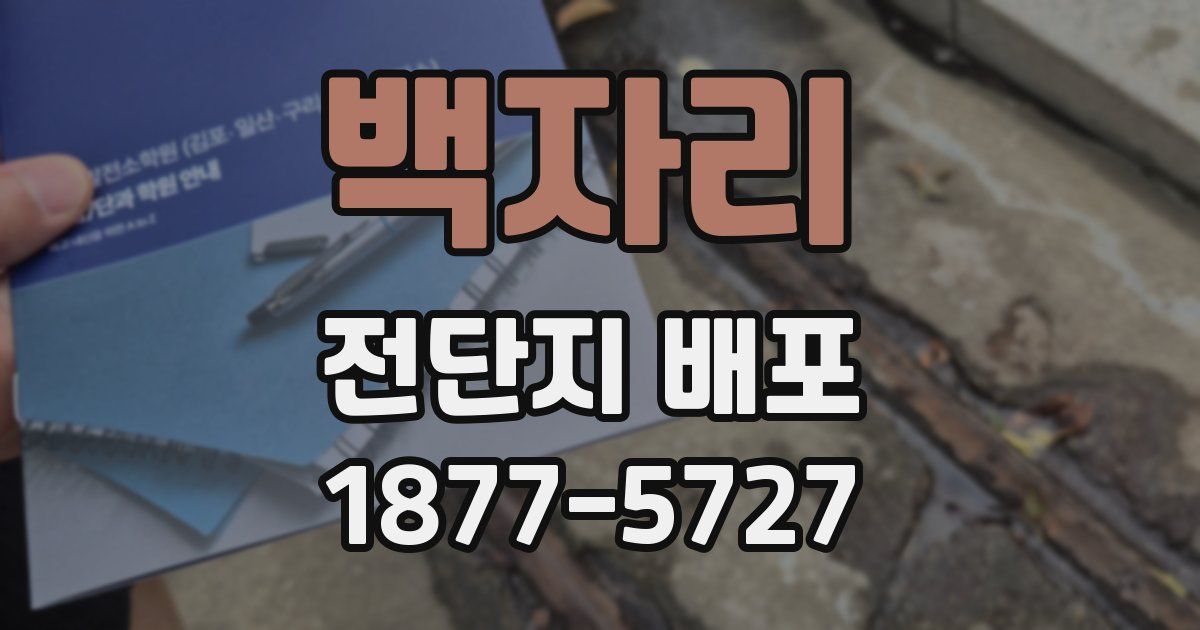 백자리 전단지 배포