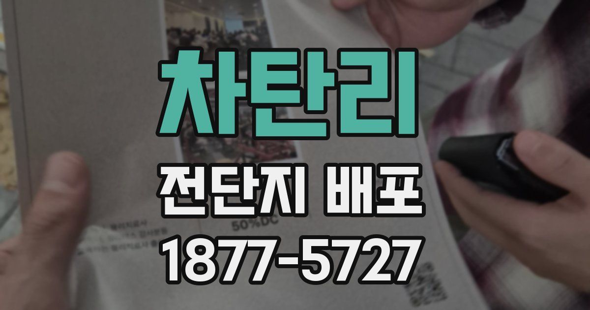 차탄리 전단지 배포