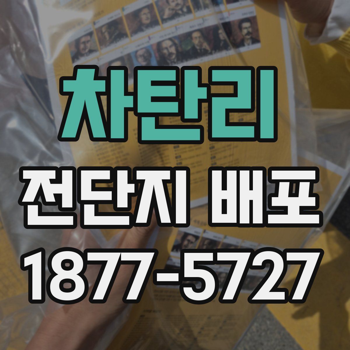 차탄리 전단지 배포