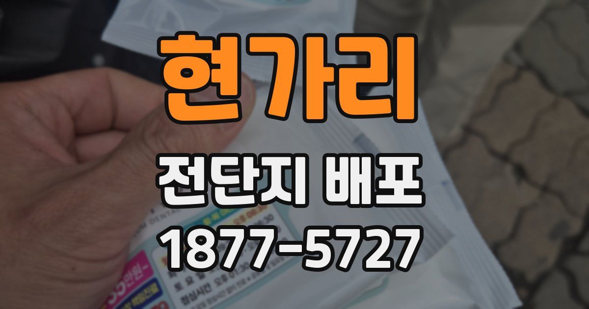 현가리 전단지 배포