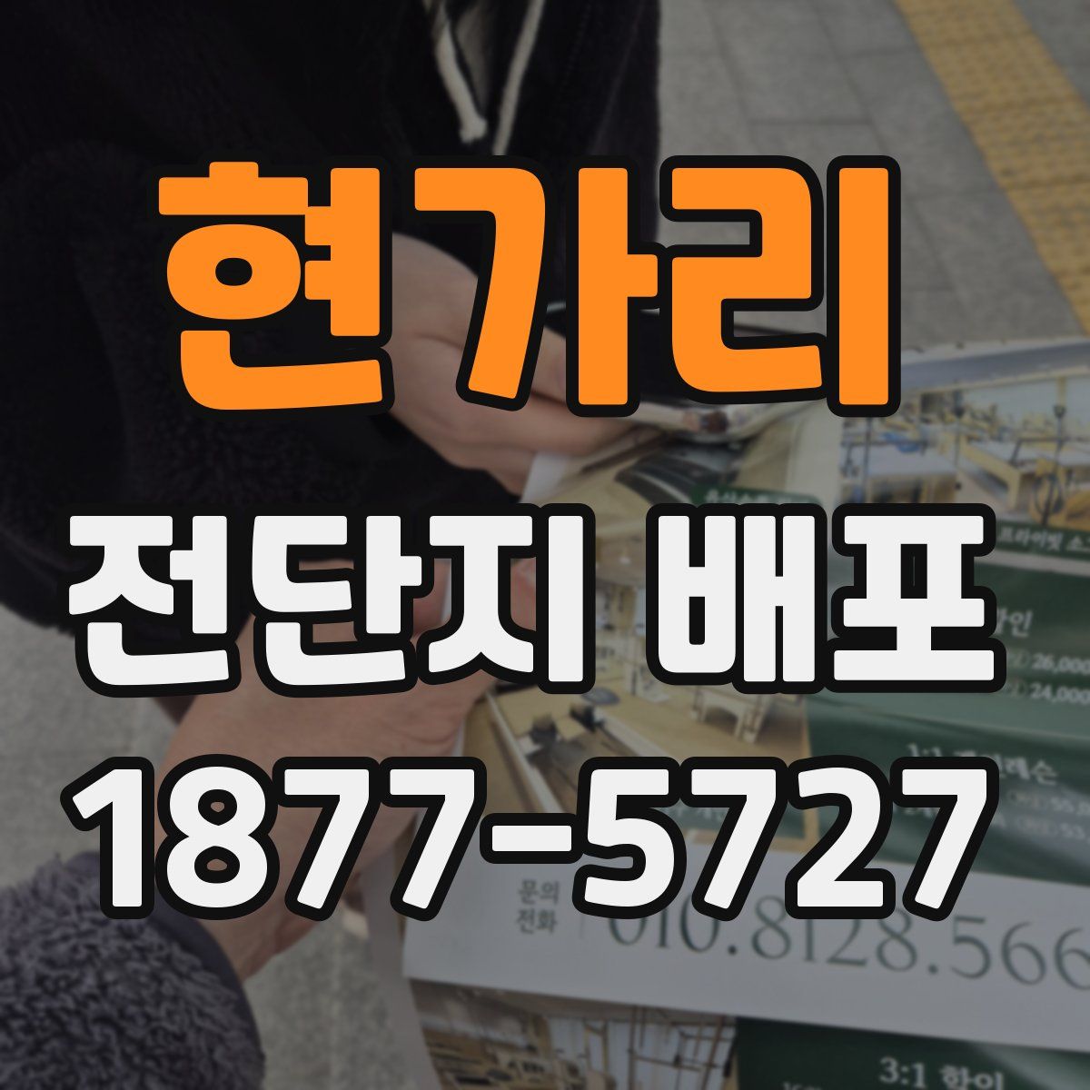 현가리 전단지 배포