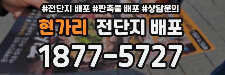 현가리 전단지 배포