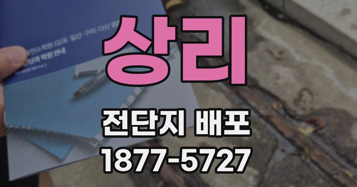 상리 전단지 배포