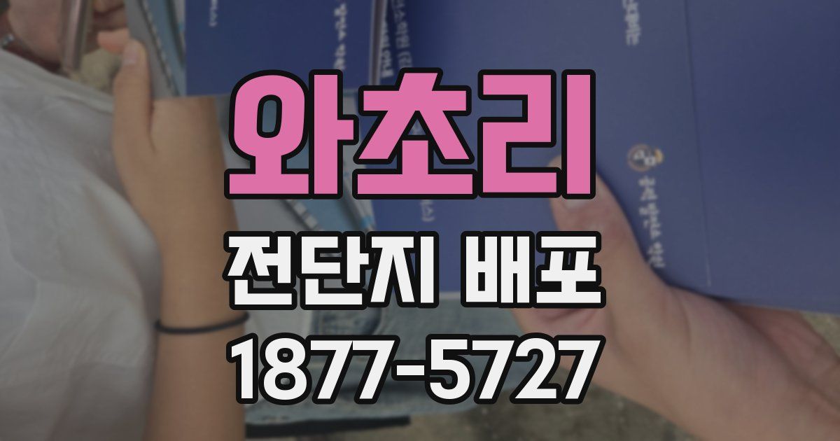 와초리 전단지 배포