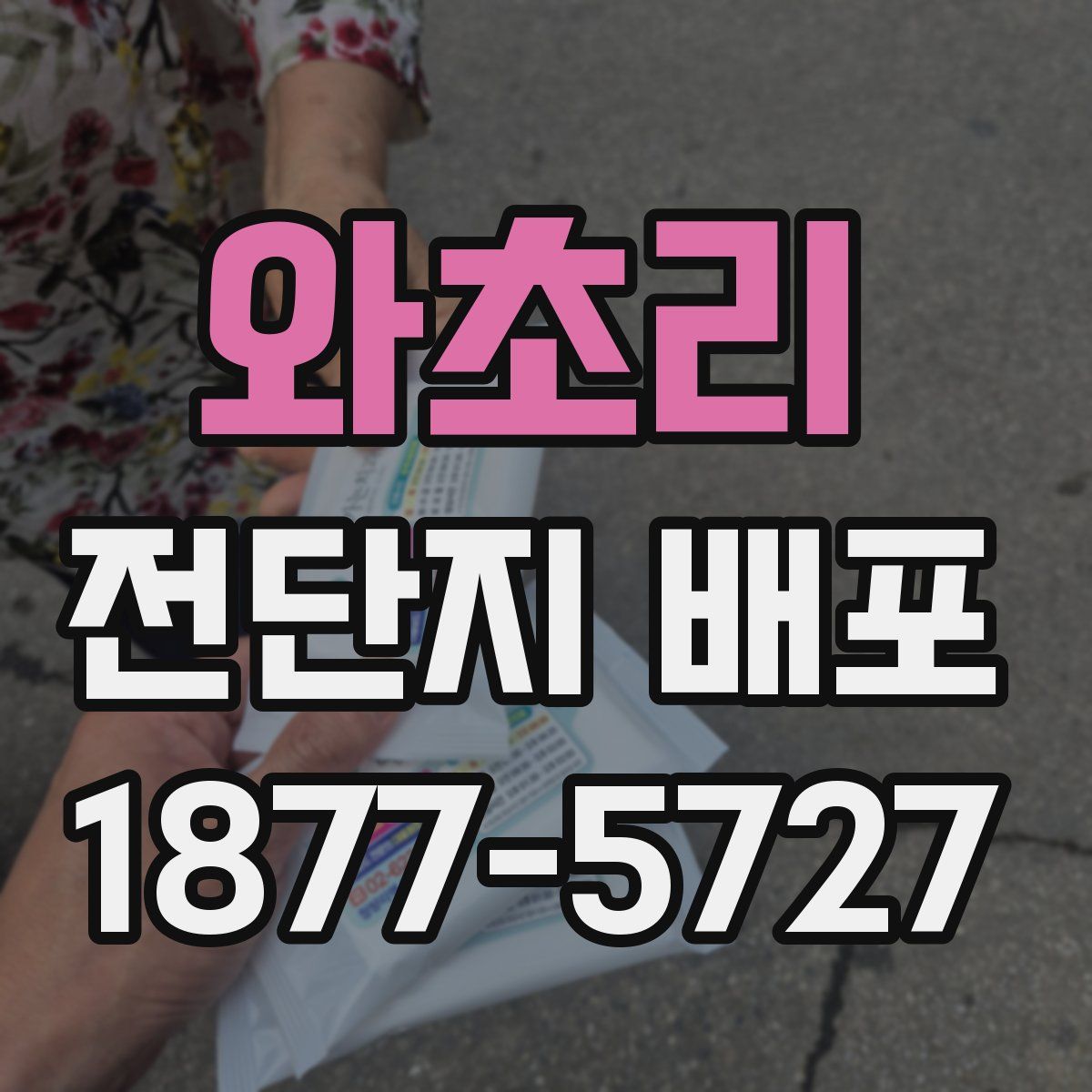와초리 전단지 배포