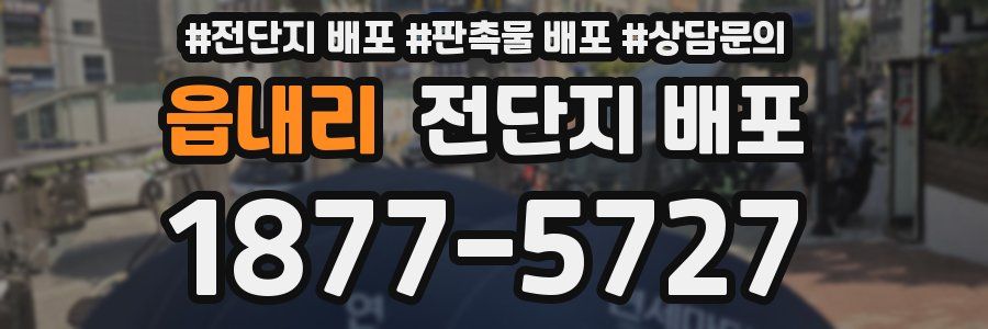 읍내리 전단지 배포