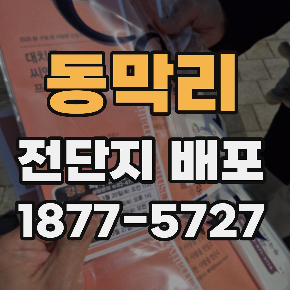 동막리 전단지 배포