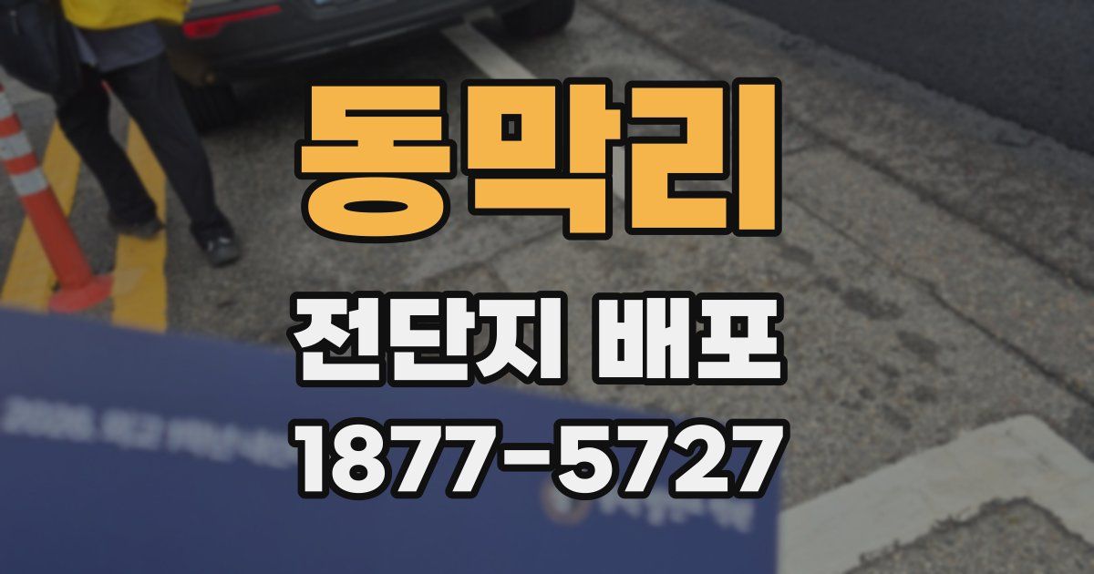 동막리 전단지 배포