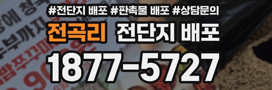 전곡리 전단지 배포
