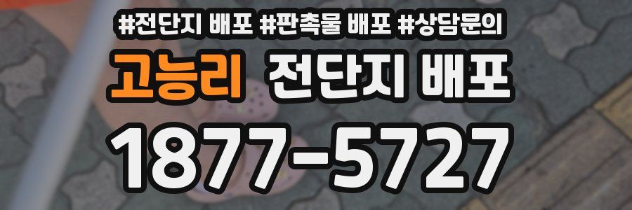 고능리 전단지 배포