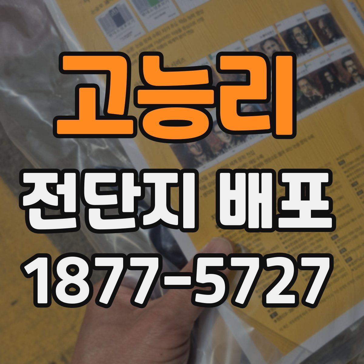 고능리 전단지 배포