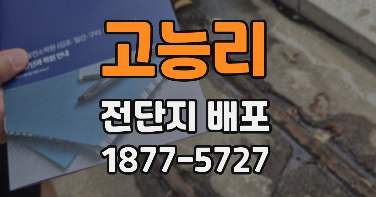 고능리 전단지 배포