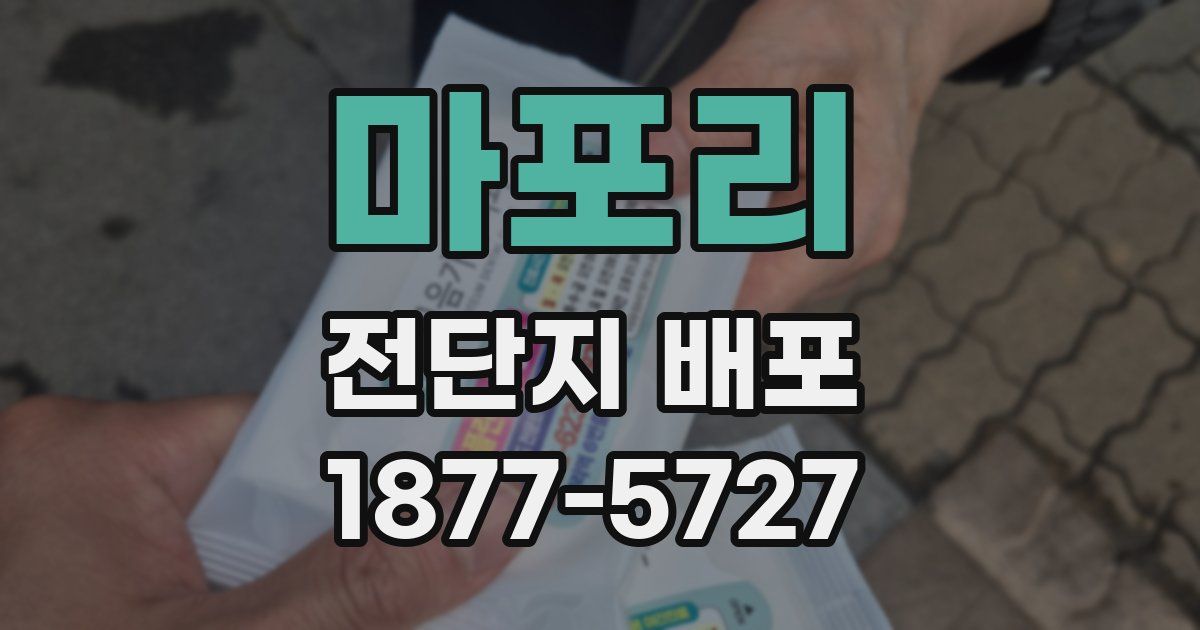 마포리 전단지 배포