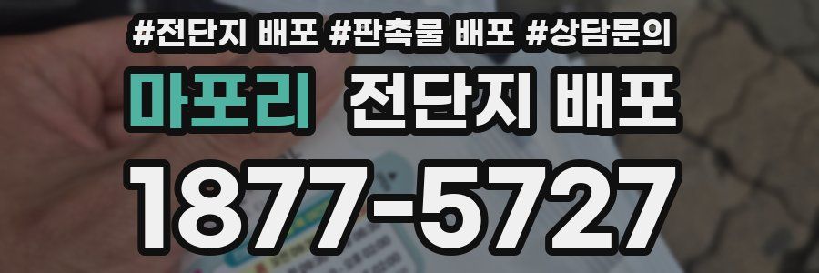 마포리 전단지 배포