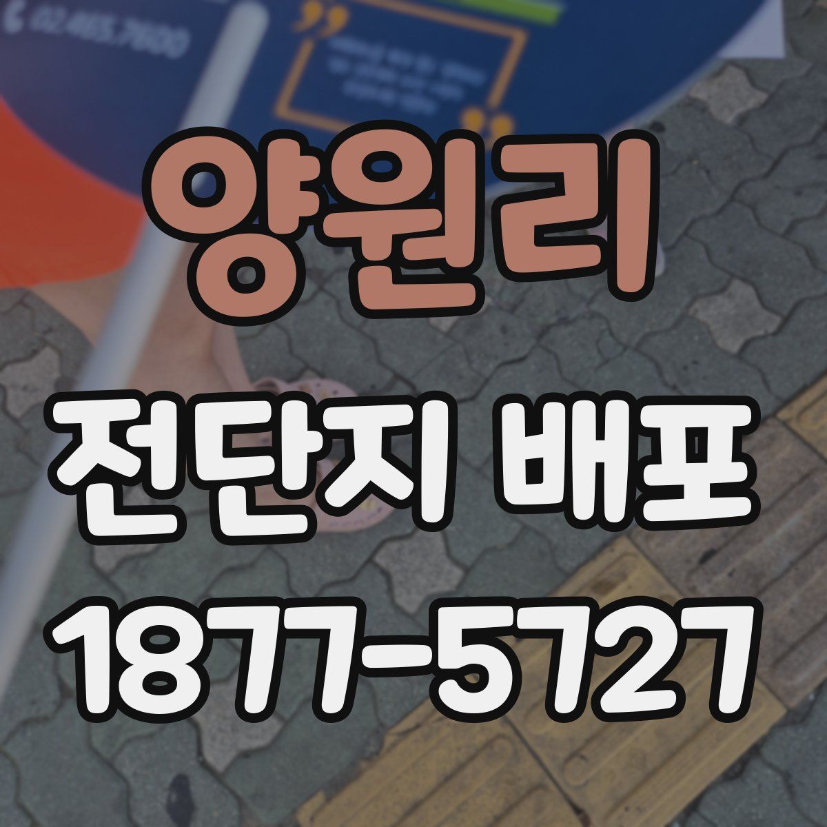 양원리 전단지 배포
