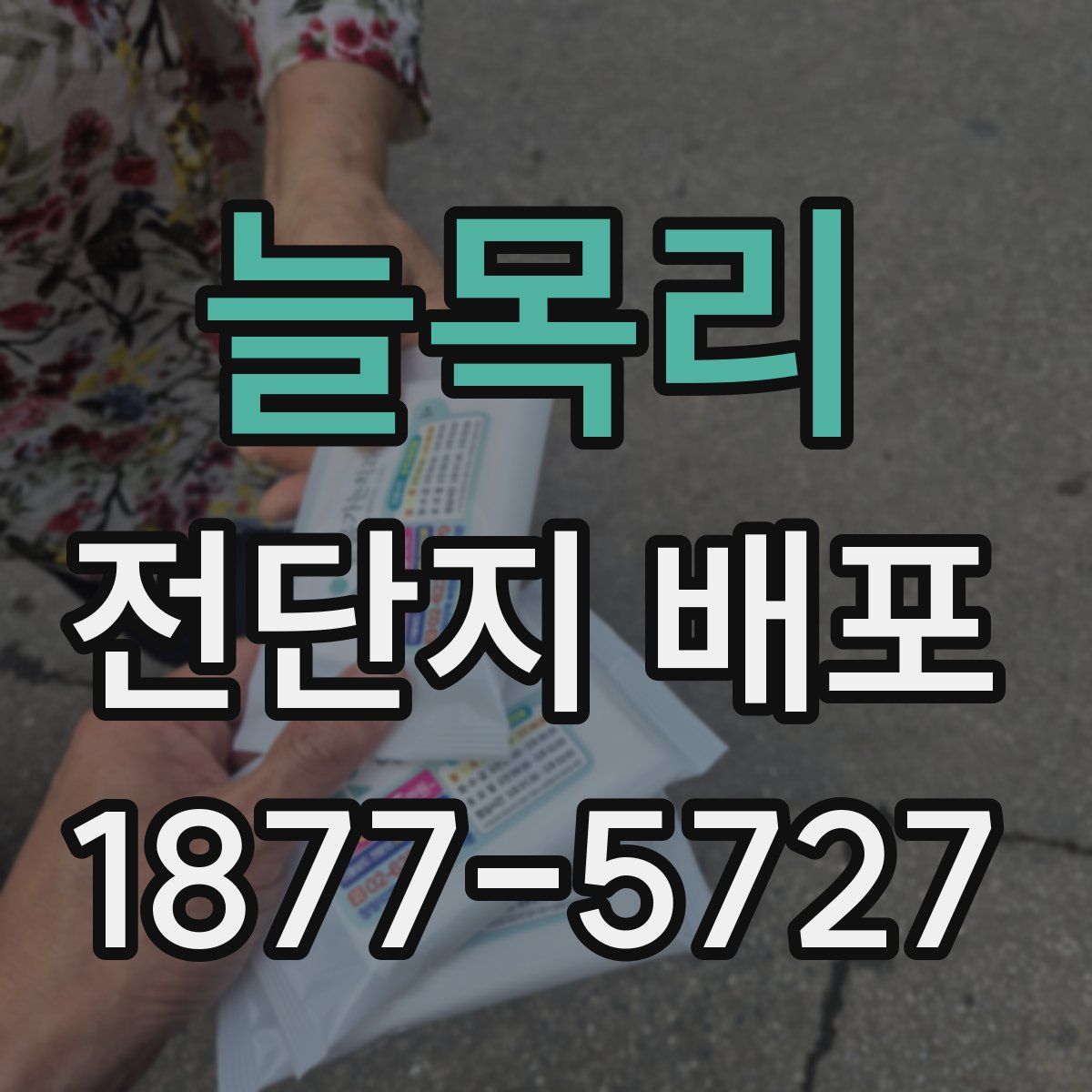 늘목리 전단지 배포