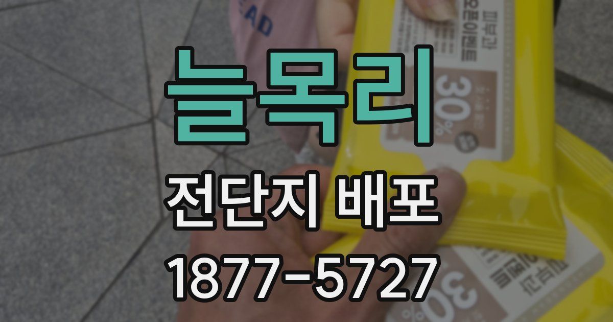늘목리 전단지 배포