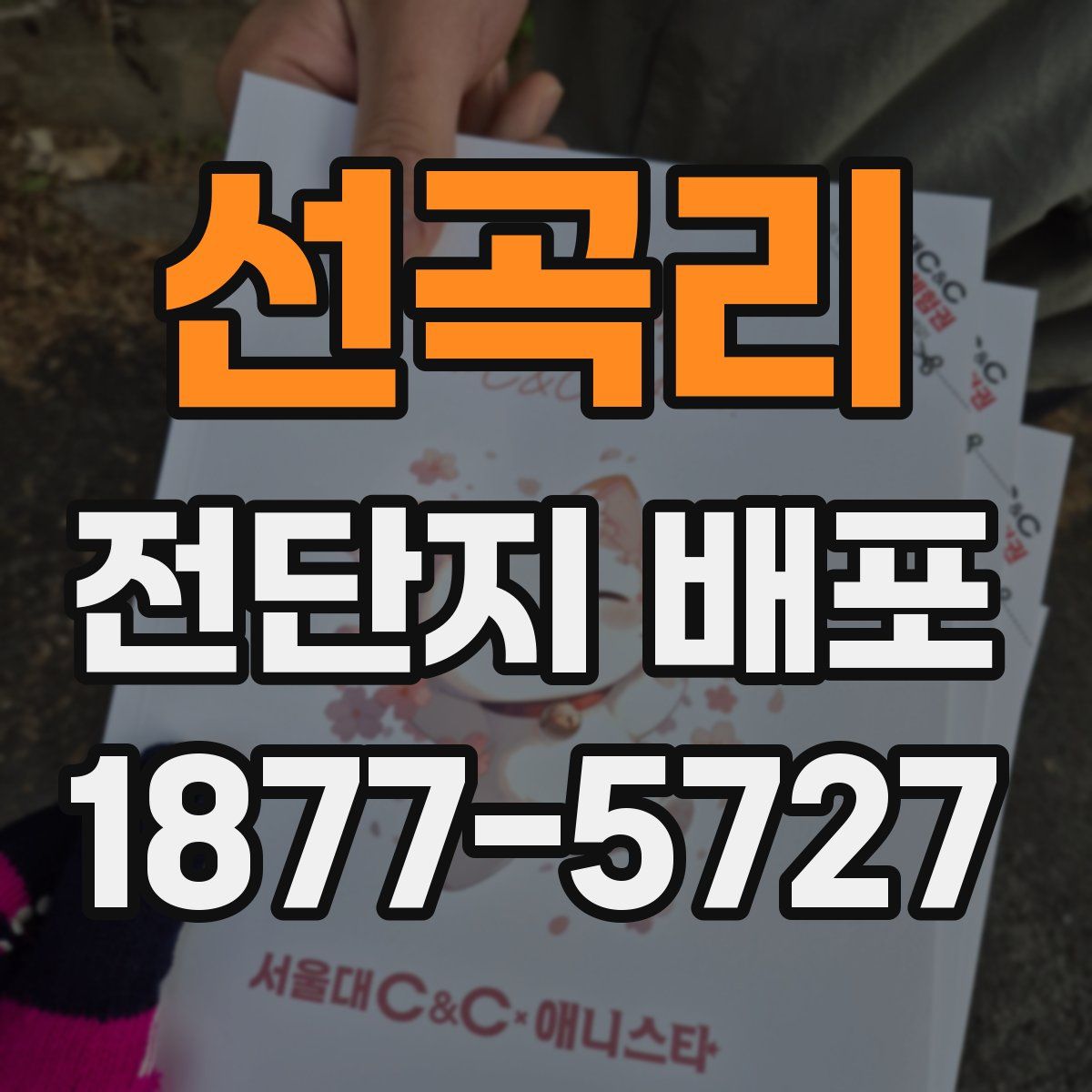 선곡리 전단지 배포