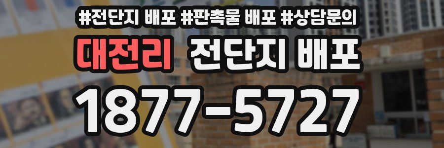 대전리 전단지 배포