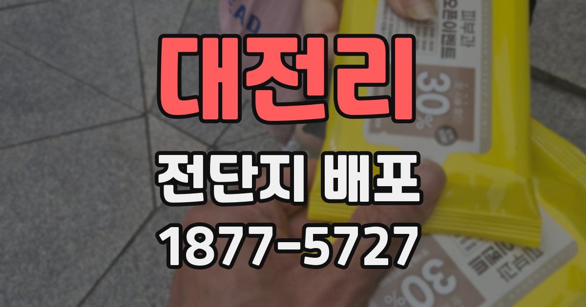 대전리 전단지 배포