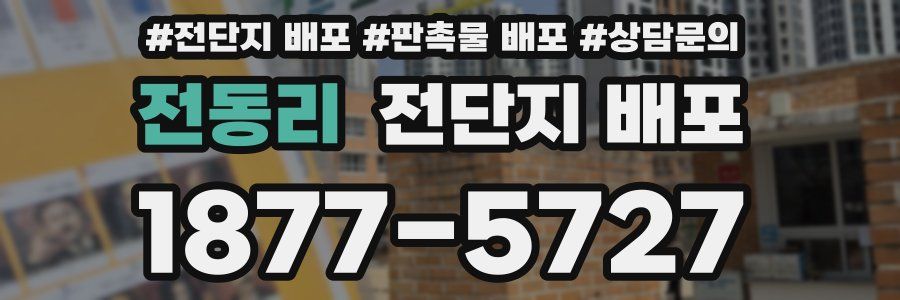 전동리 전단지 배포