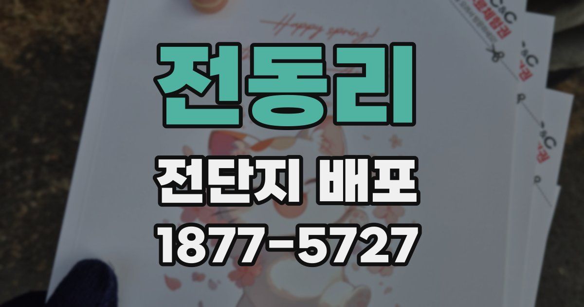전동리 전단지 배포