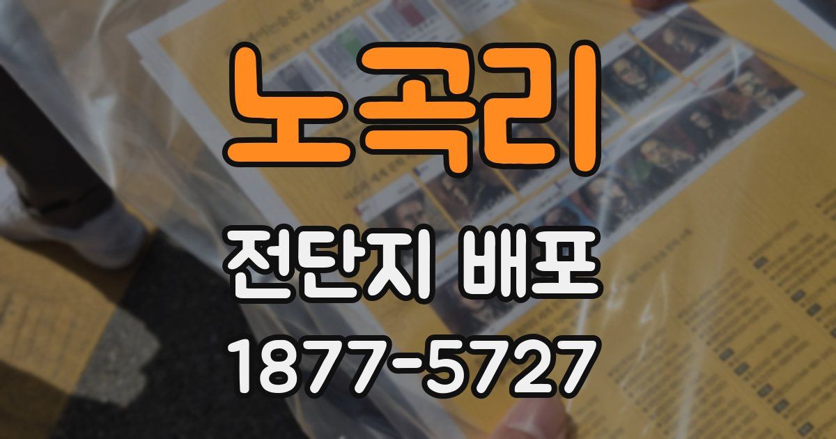 노곡리 전단지 배포