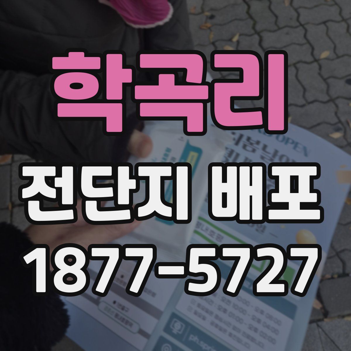 학곡리 전단지 배포