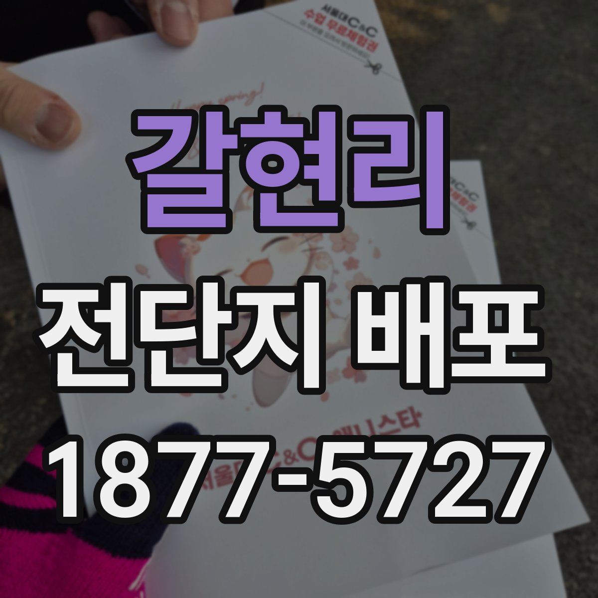 갈현리 전단지 배포