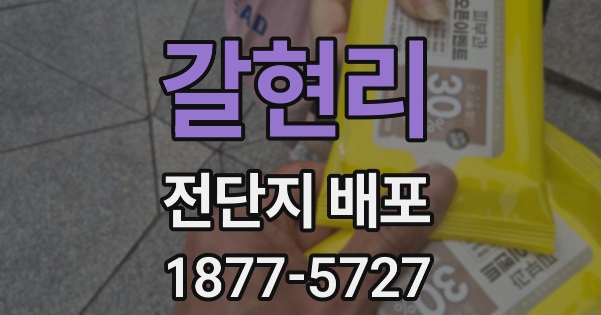 갈현리 전단지 배포
