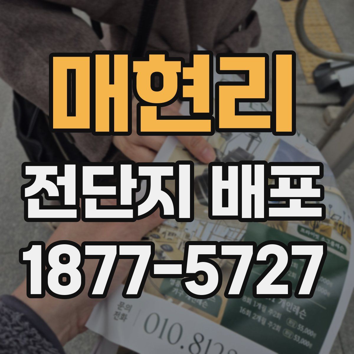 매현리 전단지 배포