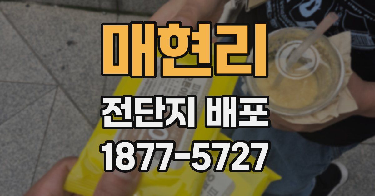 매현리 전단지 배포
