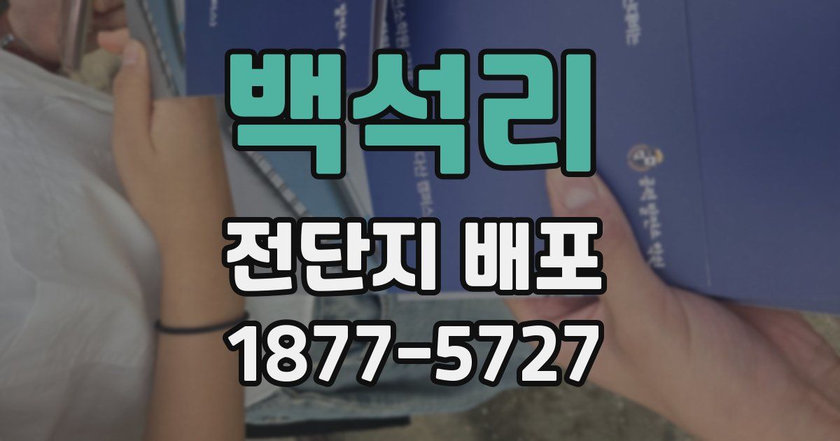 백석리 전단지 배포