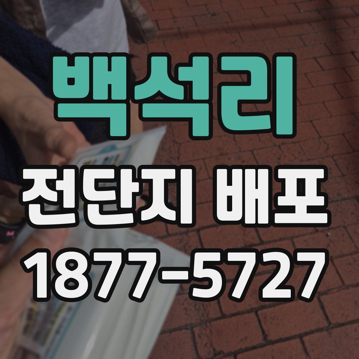 백석리 전단지 배포