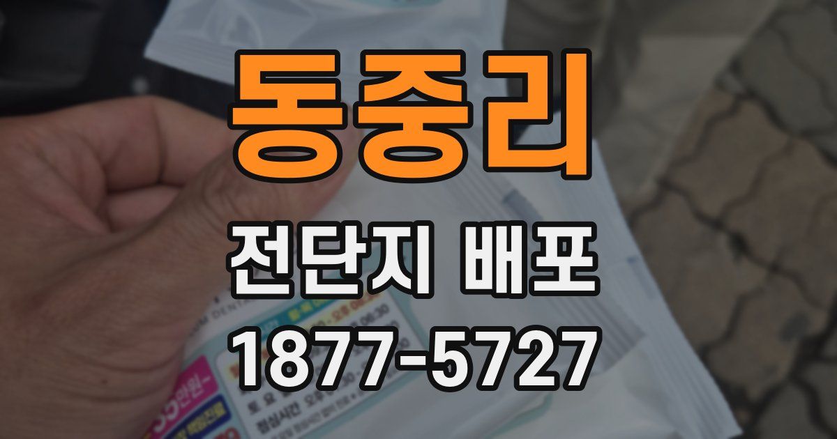 동중리 전단지 배포